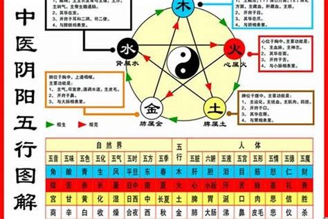 1984 鼠|1984年属鼠的是什么命，84年出生的鼠五行属什么